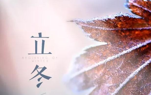 立冬已至，夏秋已逝